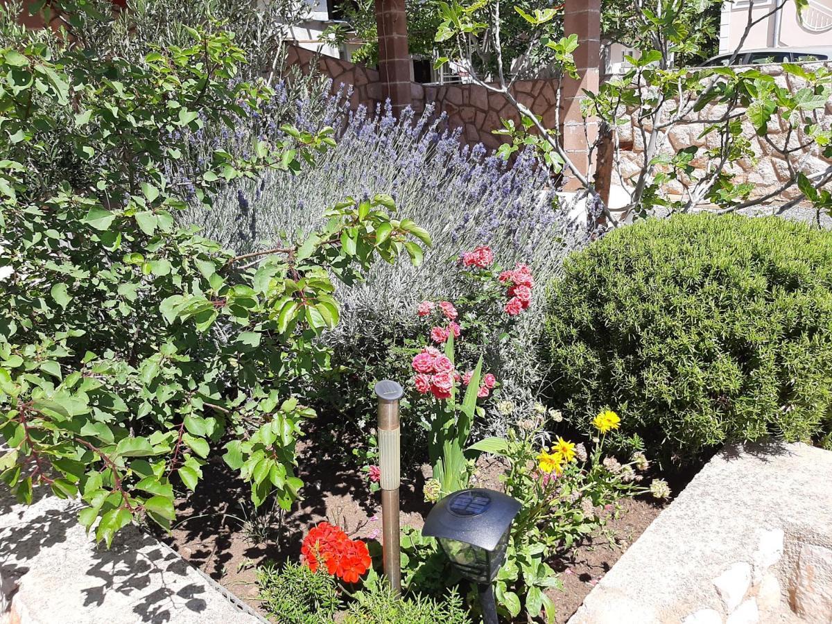 Apartments Pavelic Novi Vinodolski Dış mekan fotoğraf